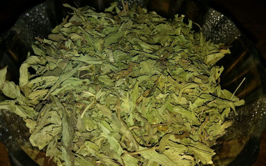 Stevia Leaf Powder